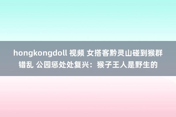 hongkongdoll 视频 女搭客黔灵山碰到猴群错乱 公园惩处处复兴：猴子王人是野生的