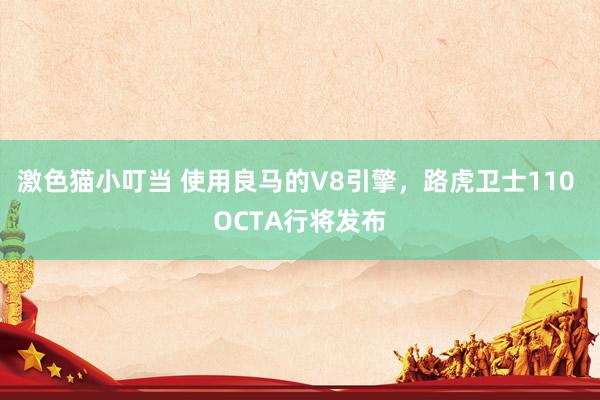激色猫小叮当 使用良马的V8引擎，路虎卫士110 OCTA行将发布