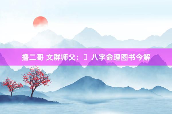 撸二哥 文群师父:八字命理图书今解