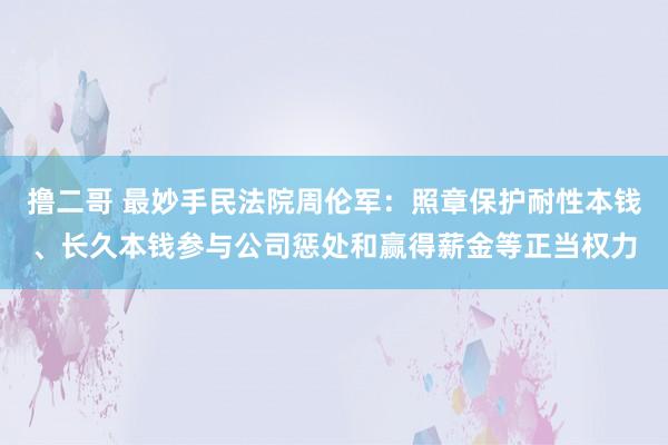 撸二哥 最妙手民法院周伦军:照章保护耐性本钱、长久本钱参与公司惩处和赢得薪金等正当权力