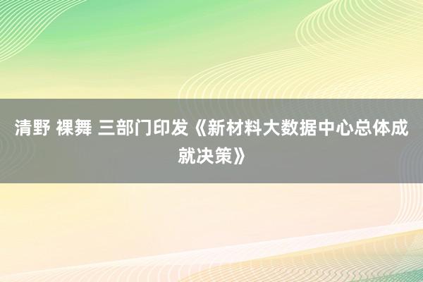 清野 裸舞 三部门印发《新材料大数据中心总体成就决策》