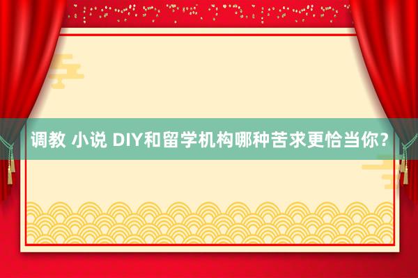 调教 小说 DIY和留学机构哪种苦求更恰当你？