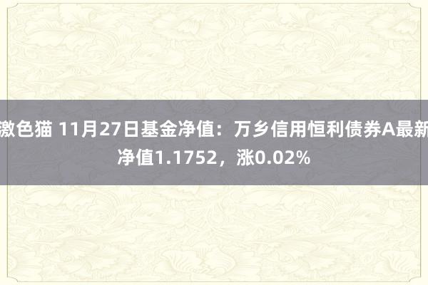 激色猫 11月27日基金净值：万乡信用恒利债券A最新净值1.1752，涨0.02%