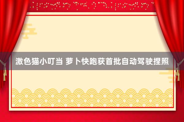 激色猫小叮当 萝卜快跑获首批自动驾驶捏照