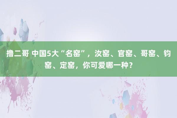 撸二哥 中国5大“名窑”，汝窑、官窑、哥窑、钧窑、定窑，你可爱哪一种？