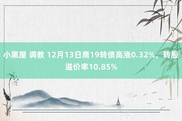 小黑屋 调教 12月13日鹰19转债高涨0.32%,转股溢价率10.85%