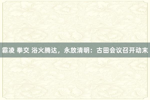 霸凌 拳交 浴火腾达，永放清明：古田会议召开动末
