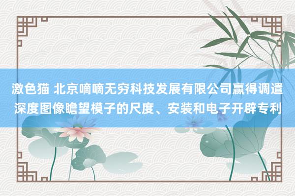 激色猫 北京嘀嘀无穷科技发展有限公司赢得调遣深度图像瞻望模子的尺度、安装和电子开辟专利