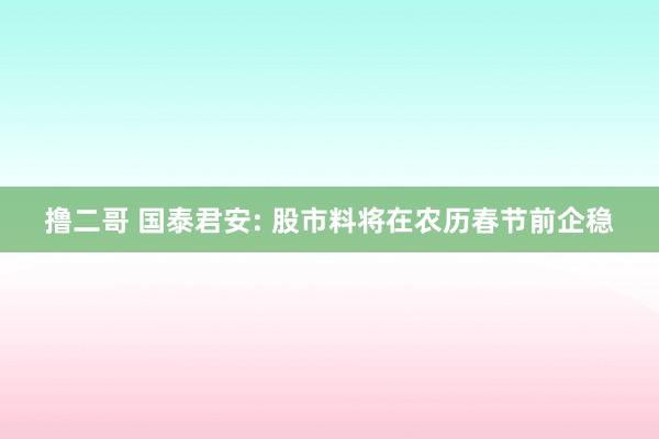 撸二哥 国泰君安: 股市料将在农历春节前企稳