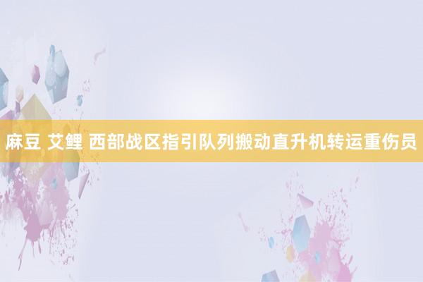 麻豆 艾鲤 西部战区指引队列搬动直升机转运重伤员