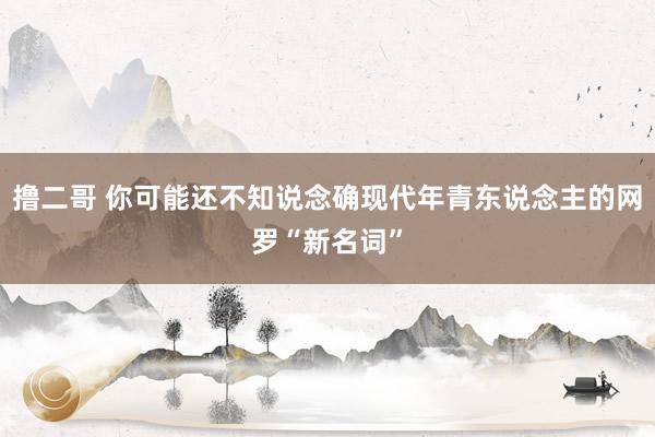 撸二哥 你可能还不知说念确现代年青东说念主的网罗“新名词”