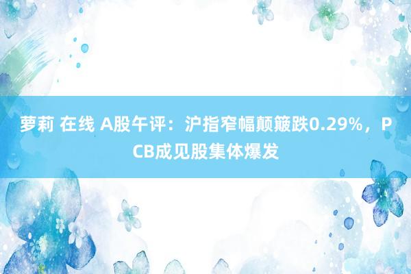 萝莉 在线 A股午评：沪指窄幅颠簸跌0.29%，PCB成见股集体爆发