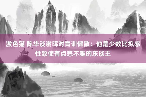激色猫 陈华谈谢晖对青训懒散：他是少数比拟感性致使有点悲不雅的东谈主