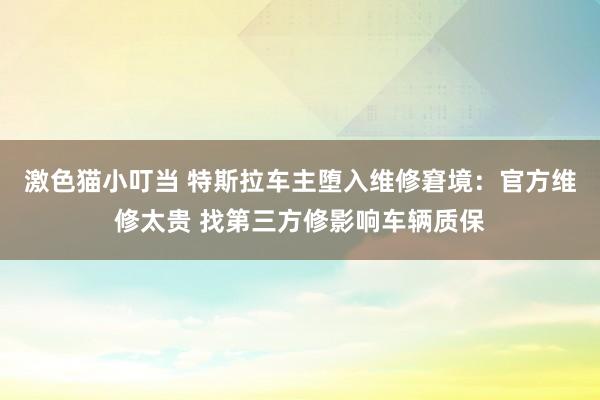 激色猫小叮当 特斯拉车主堕入维修窘境：官方维修太贵 找第三方修影响车辆质保