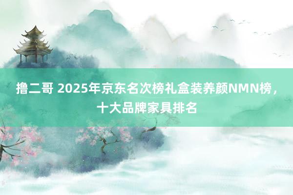 撸二哥 2025年京东名次榜礼盒装养颜NMN榜，十大品牌家具排名