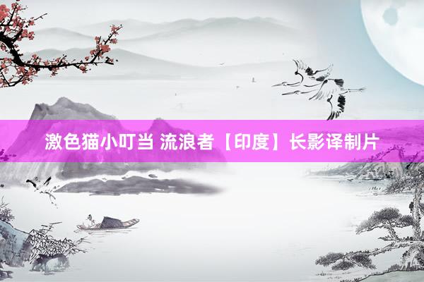 激色猫小叮当 流浪者【印度】长影译制片