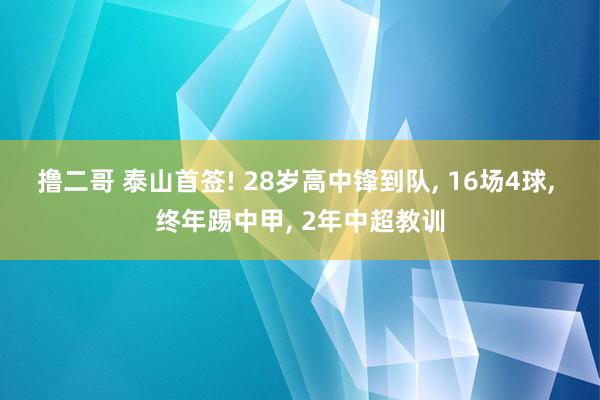 撸二哥 泰山首签! 28岁高中锋到队， 16场4球， 终年踢中甲， 2年中超教训