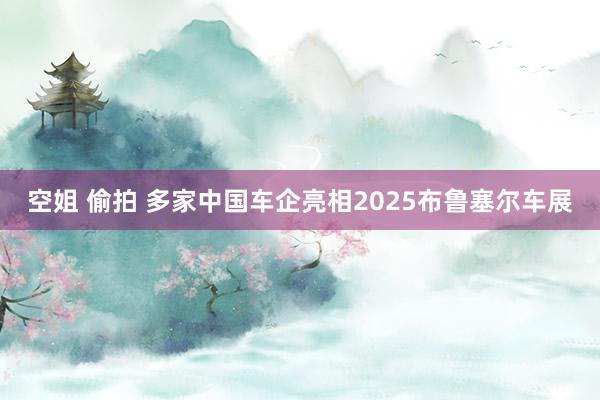 空姐 偷拍 多家中国车企亮相2025布鲁塞尔车展