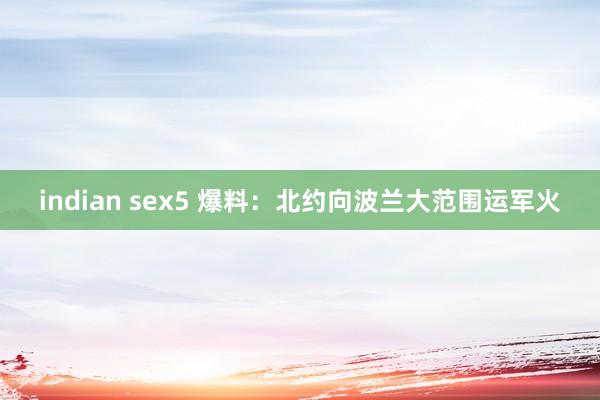 indian sex5 爆料：北约向波兰大范围运军火