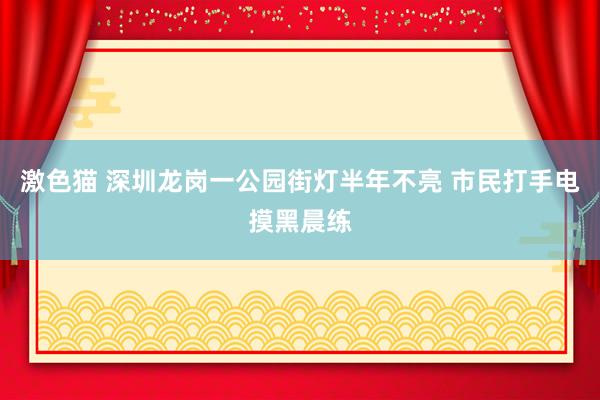 激色猫 深圳龙岗一公园街灯半年不亮 市民打手电摸黑晨练