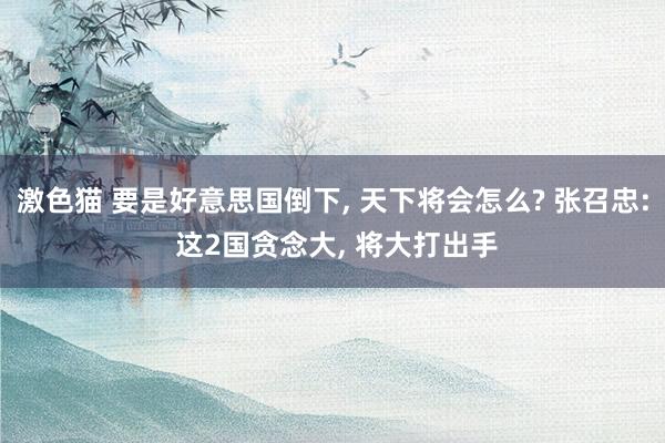 激色猫 要是好意思国倒下， 天下将会怎么? 张召忠: 这2国贪念大， 将大打出手