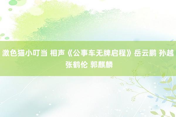 激色猫小叮当 相声《公事车无牌启程》岳云鹏 孙越 张鹤伦 郭麒麟
