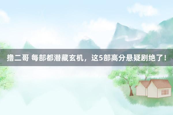 撸二哥 每部都潜藏玄机，这5部高分悬疑剧绝了！