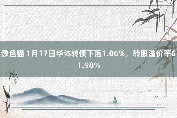 激色猫 1月17日华体转债下落1.06%，转股溢价率61.98%