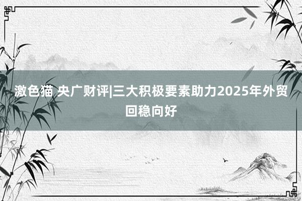 激色猫 央广财评|三大积极要素助力2025年外贸回稳向好