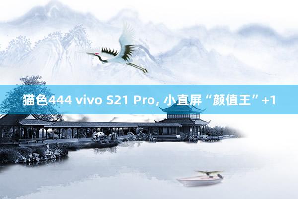 猫色444 vivo S21 Pro， 小直屏“颜值王”+1