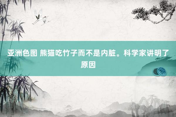 亚洲色图 熊猫吃竹子而不是内脏。科学家讲明了原因