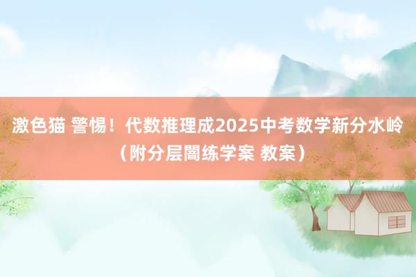 激色猫 警惕！代数推理成2025中考数学新分水岭（附分层闇练学案 教案）