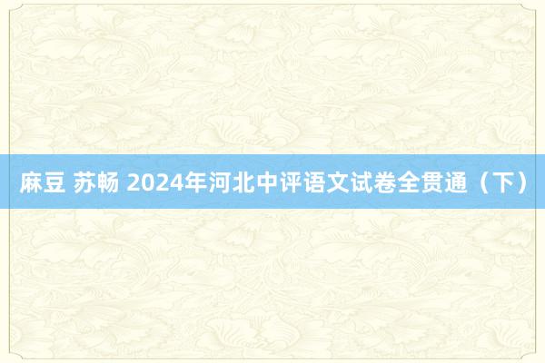 麻豆 苏畅 2024年河北中评语文试卷全贯通（下）