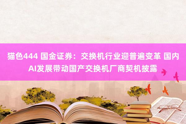 猫色444 国金证券：交换机行业迎普遍变革 国内AI发展带动国产交换机厂商契机披露