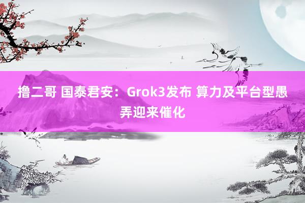 撸二哥 国泰君安：Grok3发布 算力及平台型愚弄迎来催化