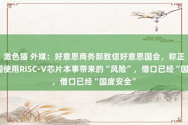 激色猫 外媒：好意思商务部致信好意思国会，称正审查中国使用RISC-V芯片本事带来的“风险”，借口已经“国度安全”