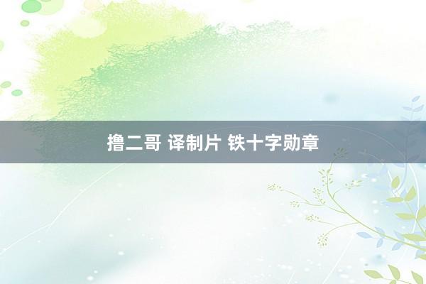 撸二哥 译制片 铁十字勋章