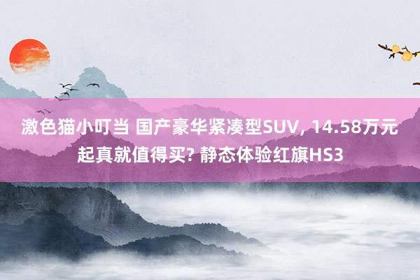 激色猫小叮当 国产豪华紧凑型SUV， 14.58万元起真就值得买? 静态体验红旗HS3