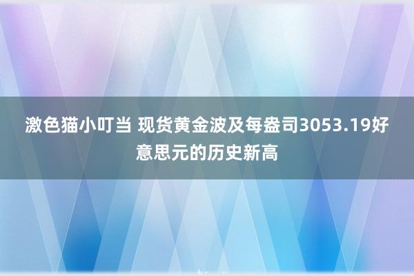 激色猫小叮当 现货黄金波及每盎司3053.19好意思元的历史新高