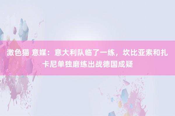 激色猫 意媒：意大利队临了一练，坎比亚索和扎卡尼单独磨练出战德国成疑