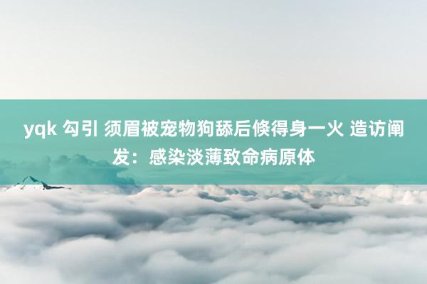 yqk 勾引 须眉被宠物狗舔后倏得身一火 造访阐发：感染淡薄致命病原体
