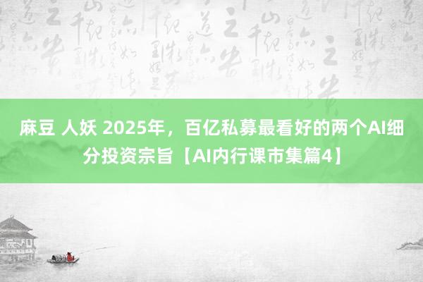 麻豆 人妖 2025年，百亿私募最看好的两个AI细分投资宗旨【AI内行课市集篇4】