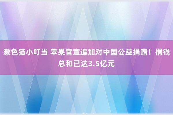 激色猫小叮当 苹果官宣追加对中国公益捐赠！捐钱总和已达3.5亿元