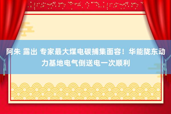 阿朱 露出 专家最大煤电碳捕集面容！华能陇东动力基地电气倒送电一次顺利