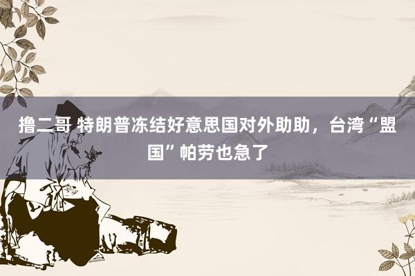 撸二哥 特朗普冻结好意思国对外助助，台湾“盟国”帕劳也急了