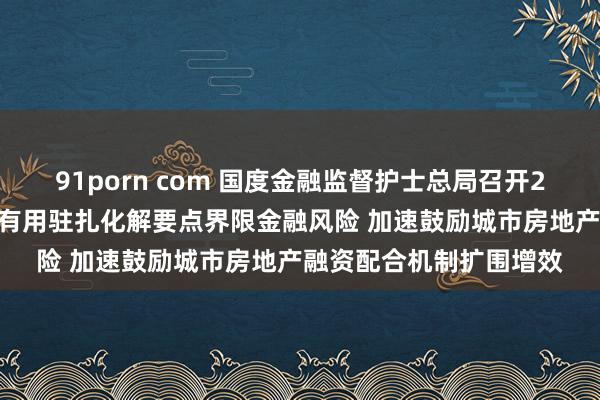 91porn com 国度金融监督护士总局召开2025年监监责任会议：有用驻扎化解要点界限金融风险 加速鼓励城市房地产融资配合机制扩围增效