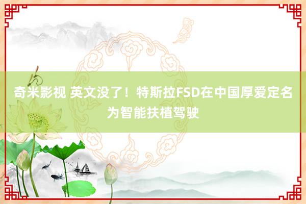 奇米影视 英文没了！特斯拉FSD在中国厚爱定名为智能扶植驾驶