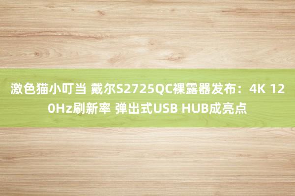 激色猫小叮当 戴尔S2725QC裸露器发布：4K 120Hz刷新率 弹出式USB HUB成亮点