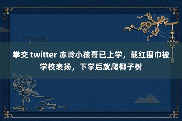 拳交 twitter 赤岭小孩哥已上学，戴红围巾被学校表扬，下学后就爬椰子树