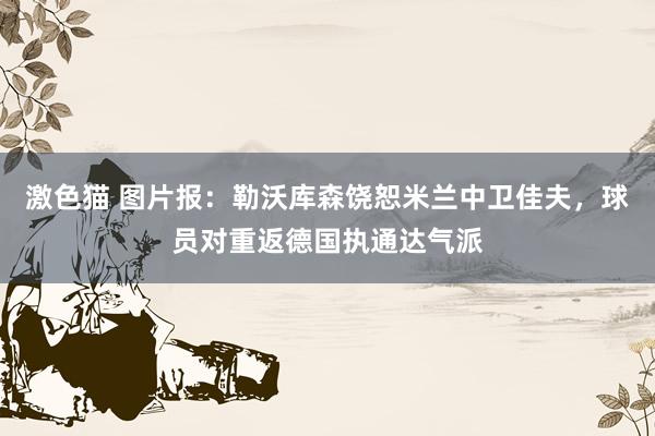 激色猫 图片报：勒沃库森饶恕米兰中卫佳夫，球员对重返德国执通达气派